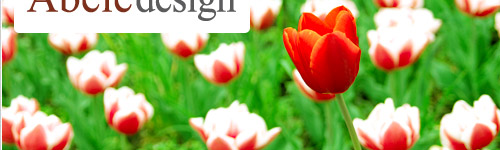 Webdesign in Montreal